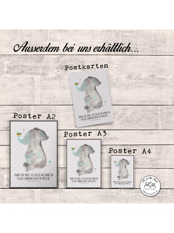 Mr. & Mrs. Panda Bild Elefant Biene mit Spruch in Grau Pastell