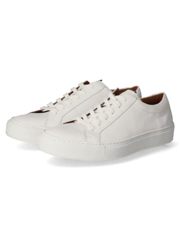 LLOYD Low Sneaker ABEL in weiß