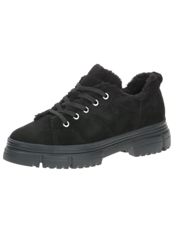 Caprice Sneaker in BLACK SUEDE