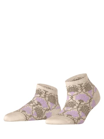 Falke Cuban Retreat Sneakersocken in Creme