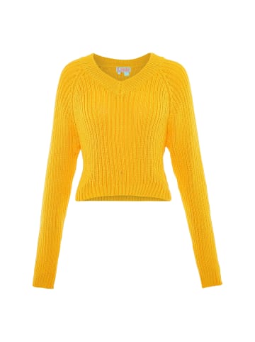 Libbi Damen Sweater in GELB