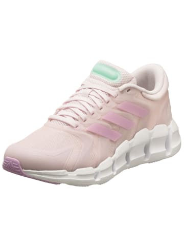 adidas Performance Sneaker Ventice Climacool in pink / mint