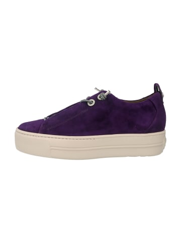 Paul Green Sneaker Low in Lila