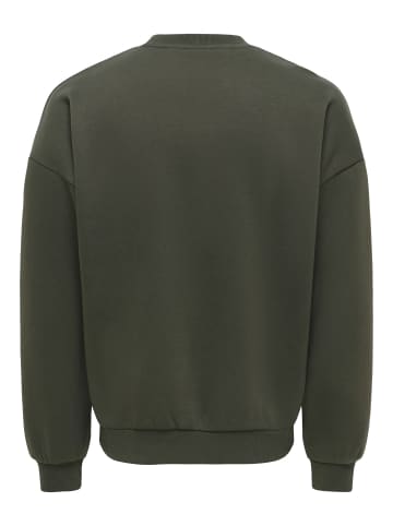 ONLY & SONS Sweatshirt in Beluga