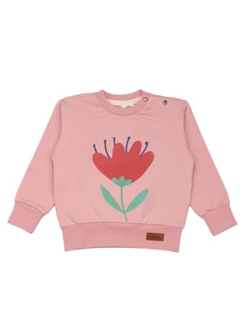 Walkiddy Sweatshirt Ladybugs & Butterflies - Sweatshirt