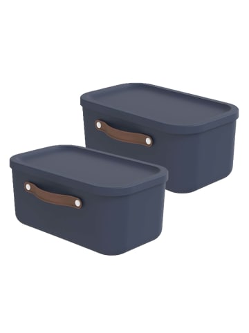Rotho 2er-Set Kiste mit Deckel Maloja 12l in Midnight blau
