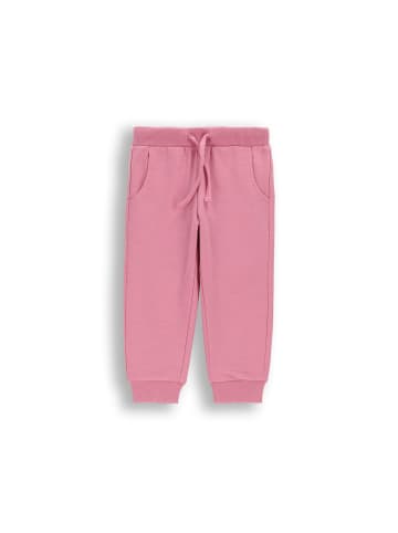 Coccodrillo Jogginghose in rosa