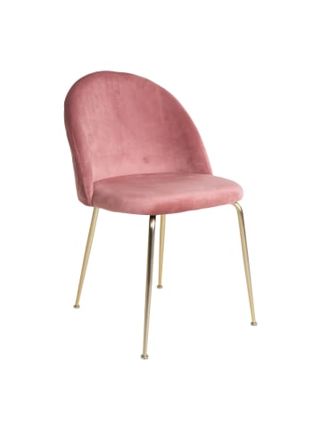ebuy24 Esszimmerstuhl Geles Altrosa 2er Set