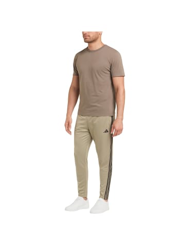 adidas Trainingshose im 3 Streifen Design in grau