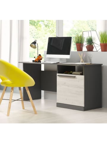 Feldmann-Wohnen Schreibtisch, Regal Trend graphit / Andersen Kiefer 140 / 60 / 75cm