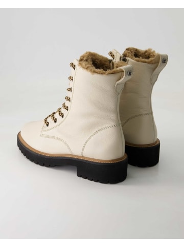 Paul Green Schnürstiefeletten in Beige