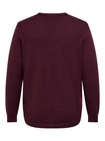 ONLY Carmakoma Strickpullover in Fig
