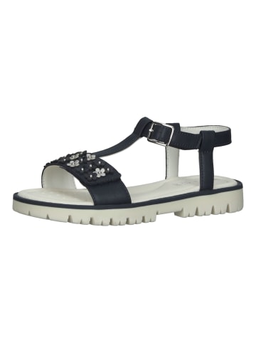 Geox Sandalen in Navy