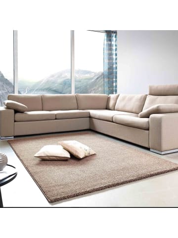 Astra Hochflorteppich SAMOA UNI 1 in Braun