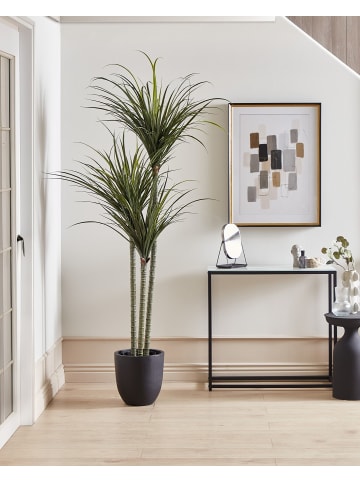 Beliani Kunstpflanze DRACAENA ANITA in Grün/Schwarz - (W) 88 x (H) 198 x (L) 88 cm