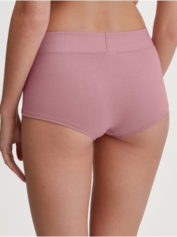 Calida Panty in lilas