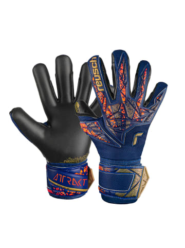 Reusch Torwarthandschuhe Attrakt Gold X Junior in 4411 premium blue/gold/black