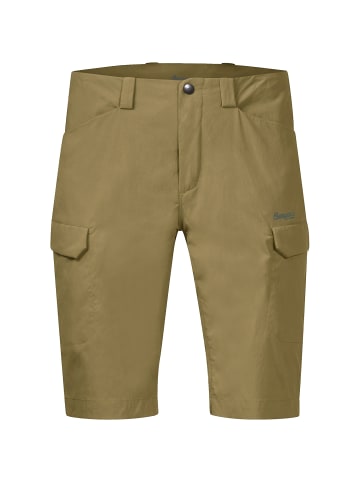 Bergans Short UTNE M SHORTS in Oliv
