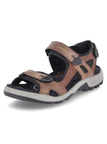 Ecco Outdoorsandalen Offroad in espresso/cocoa brown/black