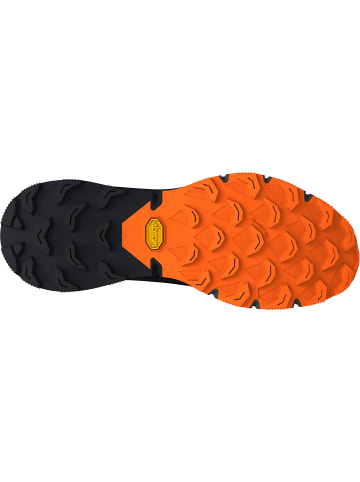 DYNAFIT Runningschuh Ultra 100 GTX in Blau3039