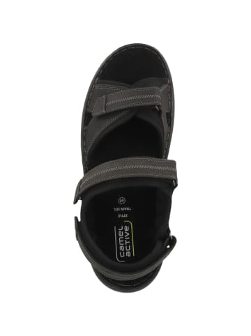 Camel Active Sandale 58TRA01 in schwarz