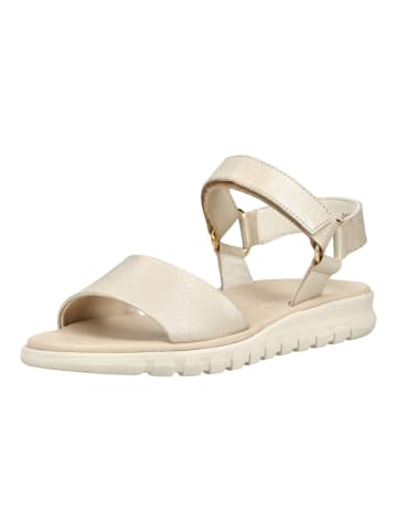 Paul Green Sandalen in Shell