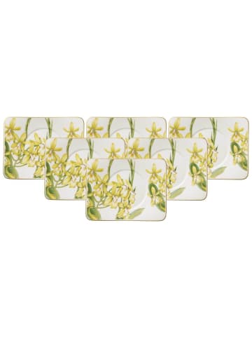 Villeroy & Boch 6er Set Teeuntertassen Amazonia 17 x 14 cm in bunt