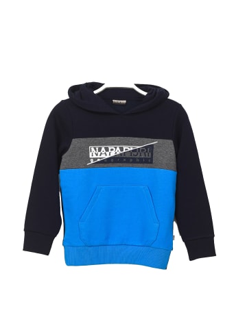 Napapijri Hoodie in Multicolored
