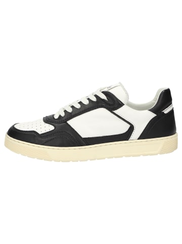 Sioux Sneaker Tedroso-704 in mehrfarbig