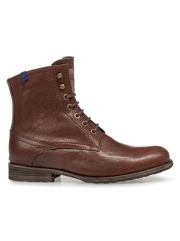 Floris van Bommel Winterstiefeletten in darkcognac