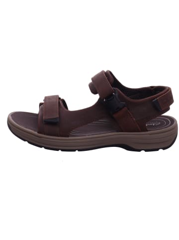 Clarks Herrensandalette Trecking  in  Braun