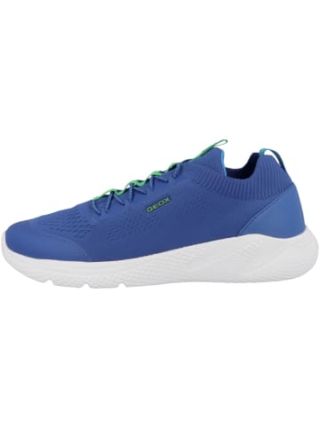 Geox Sneaker low J Sprintye B. A in blau