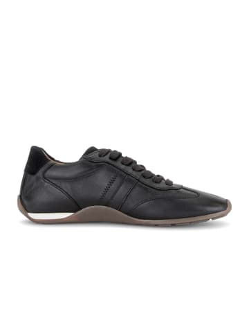 Gabor Sneaker low in schwarz