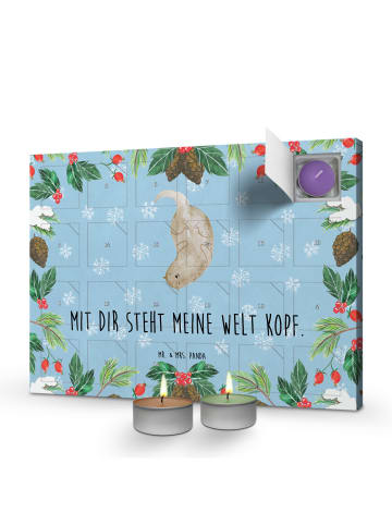 Mr. & Mrs. Panda Adventskalender Otter Kopfüber mit Spruch in Eisblau