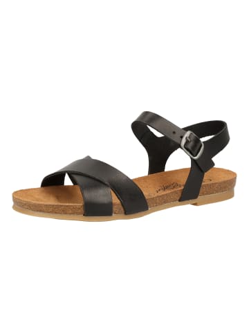 Cosmos Comfort Sandalen in Schwarz