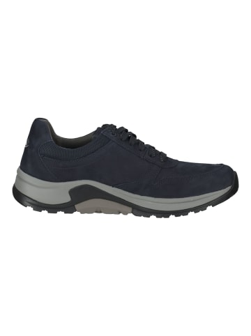 Pius Gabor Sneaker in Blau