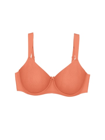Triumph Minimizer-BH Essential Minimizer T in Apricot brandy