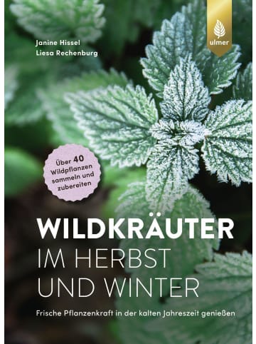 Ulmer Wildkräuter im Herbst und Winter