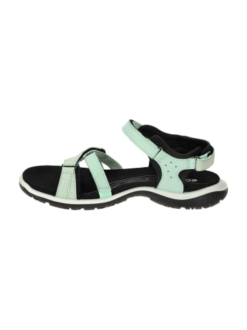 Ecco Trekkingsandalen in Blau