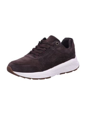 Xsensible Schnürschuhe Golden Gate Men in Braun