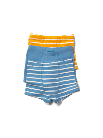 Little Green Radicals Unterwäsche Shorts Set 3er Pack in Bunt