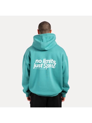 SMILODOX Hoodie Fortes in Petrol