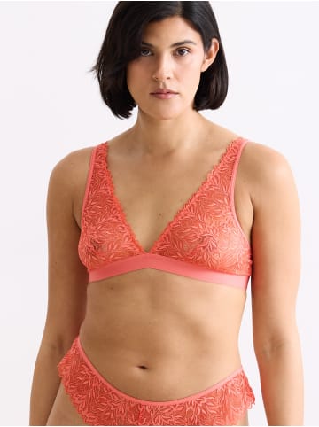 Erlich Textil  DREAMY LACE PLUNGE BRA in wilde orange