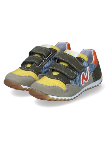 Naturino Low Sneaker SAMMY 2 in Mehrfarbig