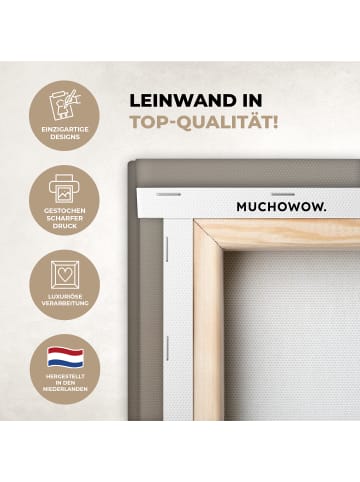 MuchoWow Leinwand bilder Federn (BxH)