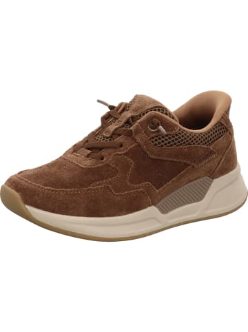 Gabor Sneaker Low in braun