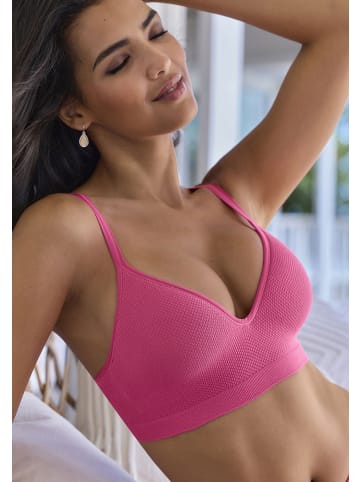 LASCANA Push-up-BH in pink