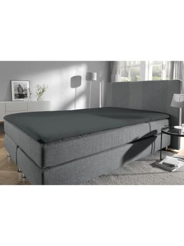 REDBEST Single-Jersey Topper-Spannbettlaken Denver in anthrazit