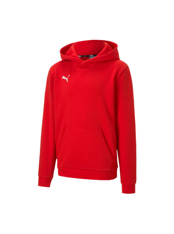 Puma Sweatshirt teamGOAL 23 Casuals Hoody Jr in rot