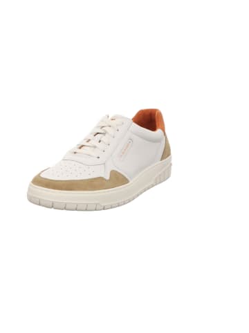 Pius Gabor Sneaker in weiß